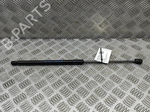 Used Hood lift support FORD RANGER (TKE) 2.0 EcoBlue 4x4 (213 hp) 29975609