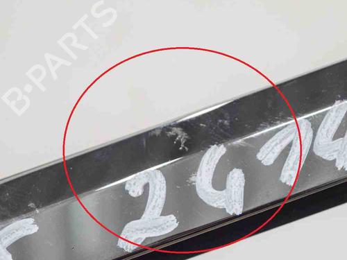 Door moulding trim TESLA MODEL X (5YJX) 90D AWD | BP20233302C150