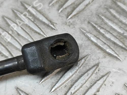 Hood lift support VW TOUAREG (7P5, 7P6) 3.0 V6 TDI | BP26013672C139 