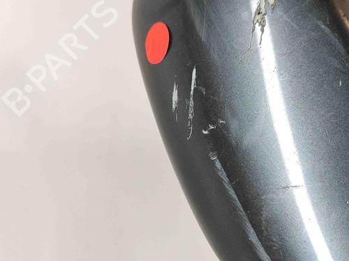 Left mirror LEXUS RX (_U3_) 400h (MHU38_) | BP29637509C26 