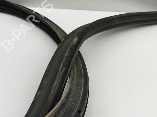 Rubber door seal VW POLO VI (AW1, BZ1, AE1) 2.0 GTI | BP28675158C142 