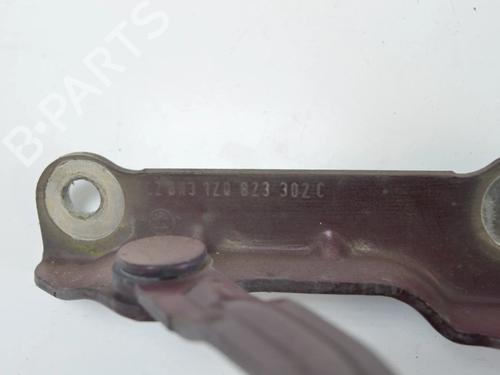 Hinge/Door check strap SKODA OCTAVIA II Combi (1Z5) 2.0 TDI 16V | BP30239906C146 