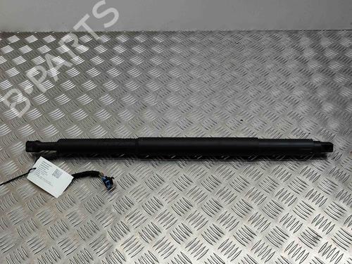 Used Tailgate lift support BMW 7 (G11, G12) 730 d, Ld (265 hp) 19502062