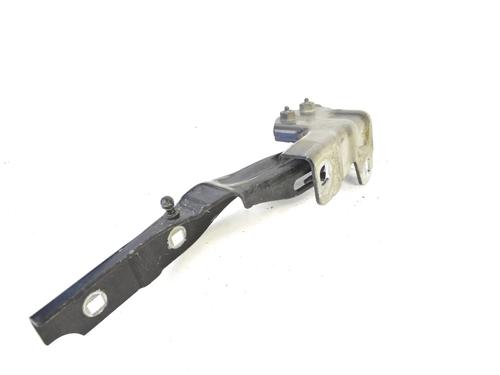 Hinge/Door check strap ALFA ROMEO GIULIETTA (940_) 1.4 TB (940FXB1A, 940FXB11) | BP30217976C146