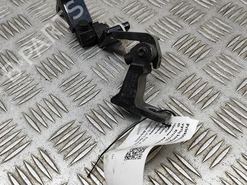 Hinge/Door check strap AUDI A6 C7 (4G2, 4GC) S6 quattro | BP21078564C146