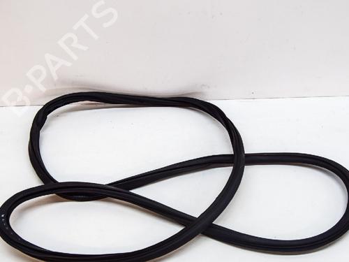 Used Rubber door seal AUDI Q5 (FYB, FYG) 2.0 TFSI quattro (252 hp) 14616585
