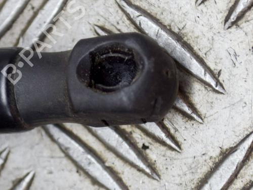 Hood lift support LAND ROVER RANGE ROVER EVOQUE (L538) 2.0 D 4x4 | BP14637191C139 