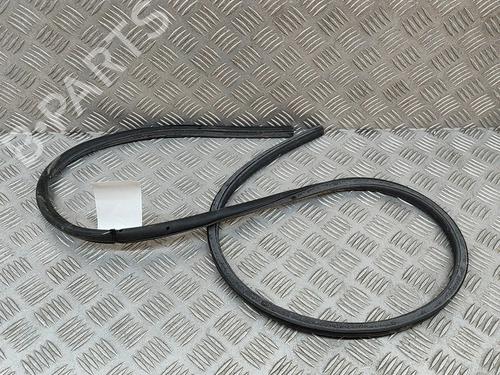 rubber-door-seal-bmw-ix-i20-2021-29391368 main image