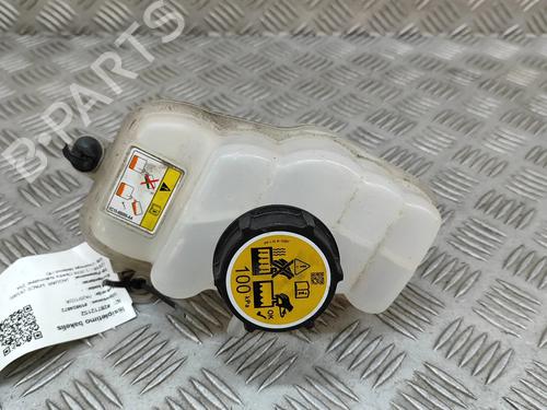 vaso-de-expansao-jaguar-i-pace-x590-2018-27782726 main image