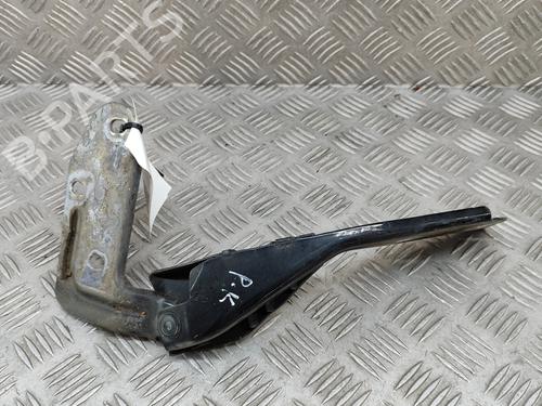 Hinge/Door check strap PORSCHE CAYENNE (92A) 3.0 Diesel | BP25615281C146 