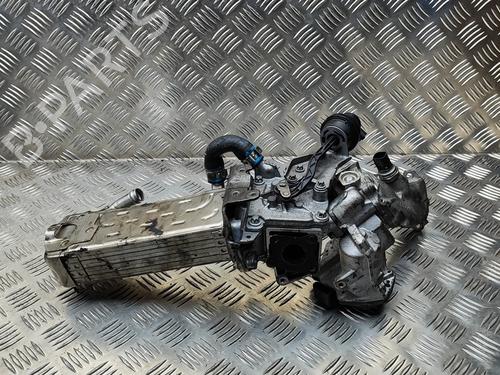 Egr MERCEDES-BENZ C-CLASS (W205) C 220 BlueTEC / d (205.002, 205.004) | BP28079077M69 