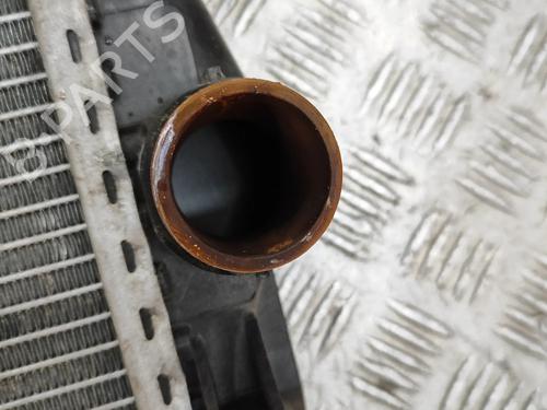 Water radiator MERCEDES-BENZ E-CLASS (W213) AMG E 43 4-matic (213.064) | BP31926328M31