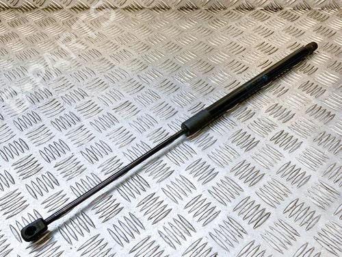 Tailgate lift support BMW X1 (E84) sDrive 18 d | BP14612386C138 