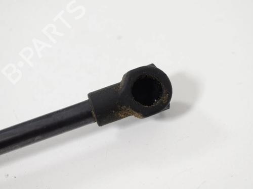 Tailgate lift support VW GOLF VII (5G1, BQ1, BE1, BE2) 2.0 R 4motion | BP30257065C138