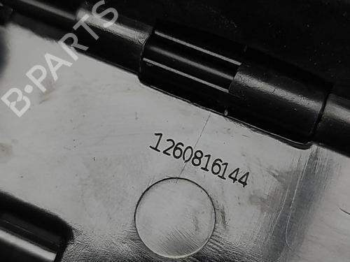 Glove box FIAT DUCATO Van (250_) 130 Multijet 2,3 D | BP31902970C95