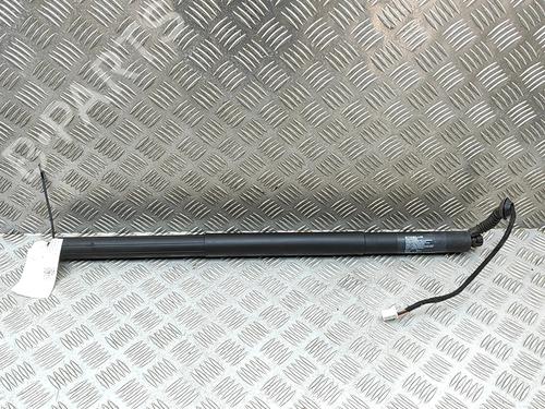 BP33661619C138 main image