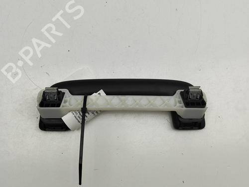 Interior roof handle SKODA ENYAQ iV SUV (5AZ) 85X | BP29731319I35 