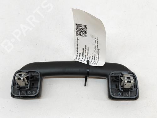 Interior roof handle PEUGEOT 2008 II (UD_, US_, UY_, UJ_, UR_, UC_) e-2008 (UKZKXZ) | BP29042441I35 