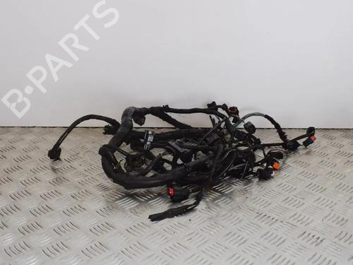 Used Wiring harness Wiring harness FORD GALAXY II (WA6) 1.8 TDCi (125 hp) 14657521 14657521