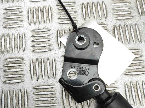 Tailgate lift support AUDI A7 Sportback (4GA, 4GF) 3.0 TDI quattro | BP29487781C138 