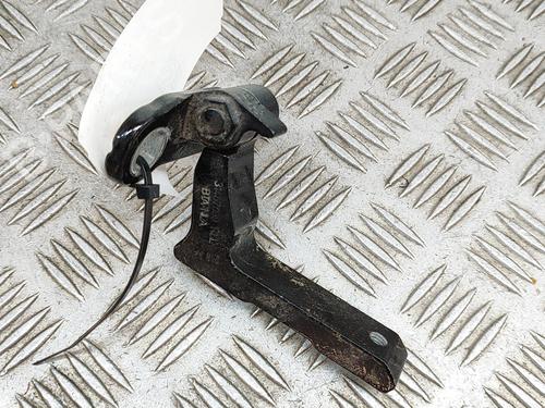 Hinge/Door check strap VOLVO XC40 (536) T3 | BP28431009C146 