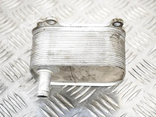 Used Oil radiator SUZUKI GRAND VITARA II (JT, TE, TD) 1.9 DDiS All-wheel Drive (JT419, TD44, JB419WD, JB419XD,... (129 hp) 6744974