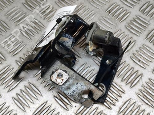 Hinge/Door check strap FORD S-MAX (WA6) 2.0 TDCi | BP27331196C146 