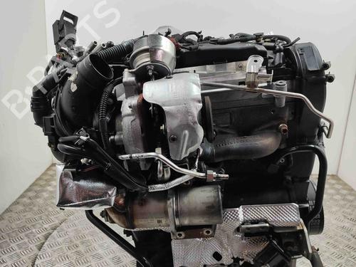 Engine AUDI A4 B9 Avant (8W5, 8WD) 2.0 TDI | BP29578535M1 