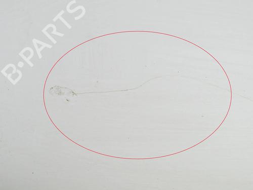 Left front door CITROËN C1 (PM_, PN_) 1.0 | BP13319875C2