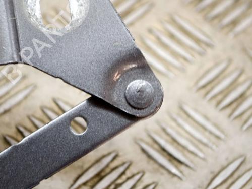 Hinge/Door check strap LAND ROVER RANGE ROVER EVOQUE (L538) 2.0 D 4x4 | BP14635876C146 