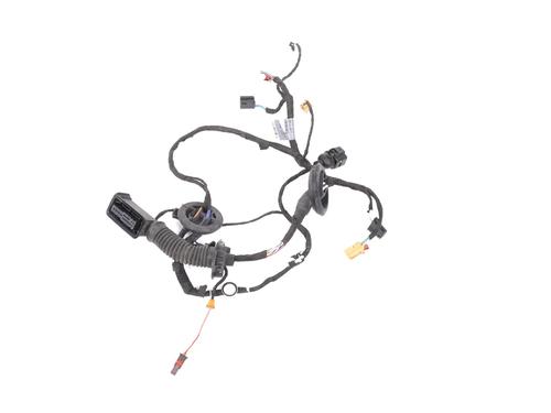 Used Wiring harness Wiring harness AUDI Q5 (FYB, FYG) SQ5 TFSI quattro (354 hp) 33346740 33346740