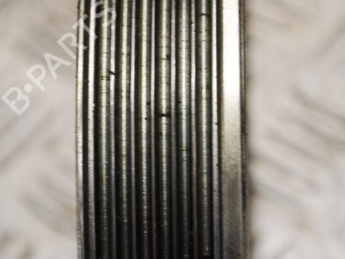 Pulley FIAT DOBLO Bus (263_) 1.3 D Multijet (263AXU1A, 263AYB1A) | BP14632425M122 