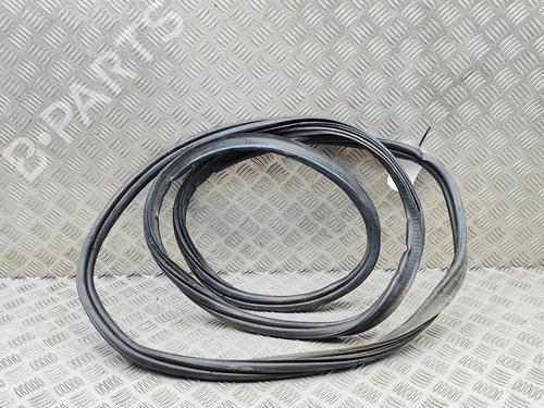 Gummiliste BMW X6 (E71, E72) xDrive 40 d | BP30130996C142 - Image 4