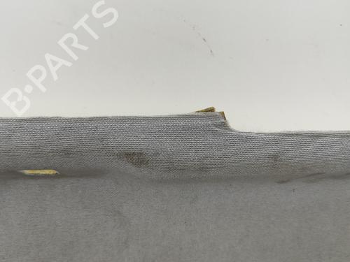 Interior roof CITROËN C4 CACTUS 1.6 BlueHDi 100 | BP29975305I12