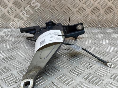 Hinge/Door check strap BMW X5 (E70) xDrive 30 d | BP16712151C146 