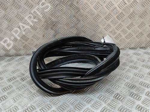 Rubber door seal BMW 4 Coupe (F32, F82) M4 | BP18314066C142 