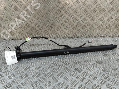 Used Tailgate lift support FORD KUGA III (DFK) 2.5 FHEV (190 hp) 28549248