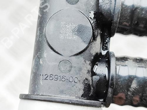 Pipe TESLA MODEL 3 (5YJ3) EV | BP33697657M125  - Image 8