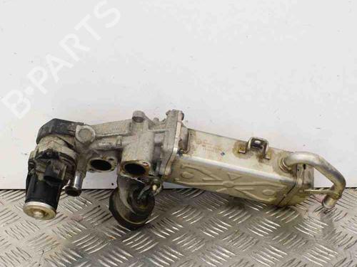 Egr VW PASSAT B7 Variant (365) 1.6 TDI | BP6738859M69