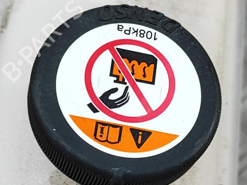 Expansion tank LEXUS NX (_Z1_) 300h AWD (AYZ15, AYZ15_, AYZ15R) | BP28028747C120