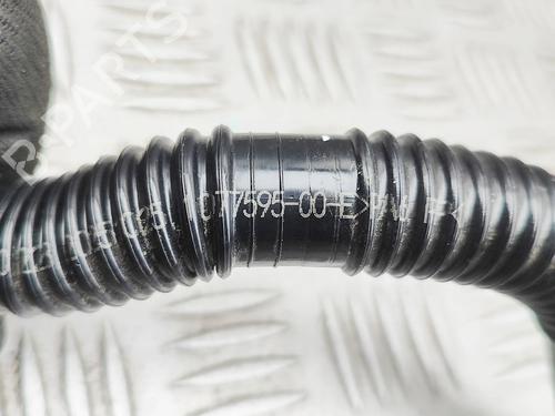 Pipe TESLA MODEL 3 (5YJ3) EV | BP38515849M125 - Image 6