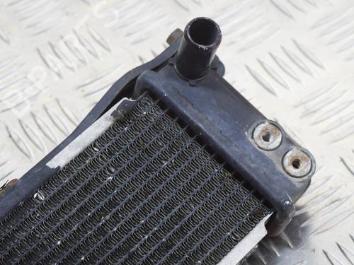 Water radiator LEXUS RX (_L1_) 450h AWD (GYL15_) | BP29128299M31 
