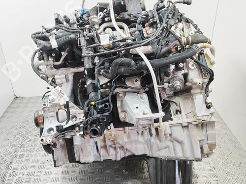 Engine LAND ROVER DISCOVERY V (L462) D300 MHEV 4x4 | BP33110220M1 - Image 2