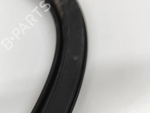 Rubber door seal AUDI Q7 (4LB) 3.0 TDI quattro | BP27377588C142
