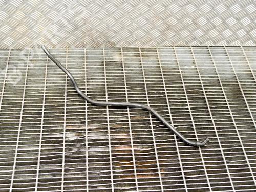 Used Pipe Pipe BMW 3 (F30, F80) 330 d (258 hp) 8837155 8837155