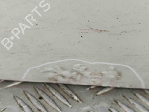 Left front door PORSCHE PANAMERA (970) 3.0 D | BP29486020C2 