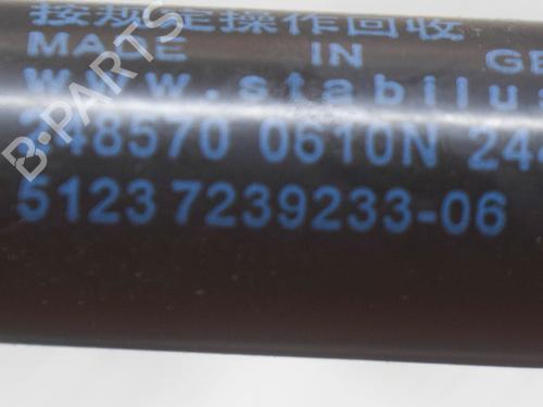 Hood lift support BMW 2 Coupe (F22, F87) 220 i | BP14625270C139 