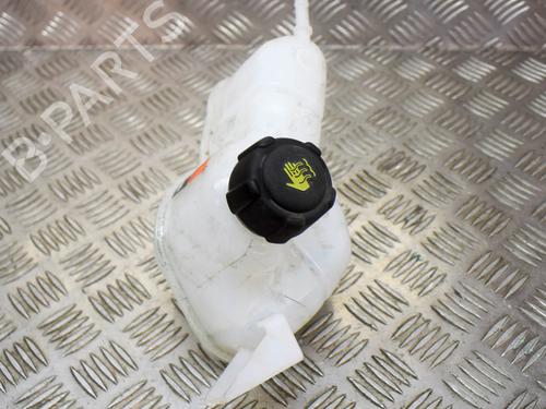 Used Expansion tank NISSAN QASHQAI II (J11, J11_) 1.5 dCi (110 hp) 27751246