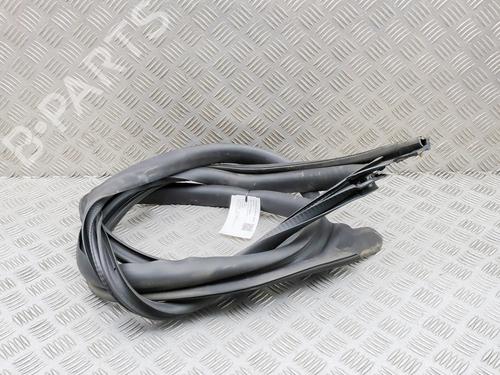 Gummiliste TESLA MODEL 3 (5YJ3) EV | BP38466981C142 - Image 2