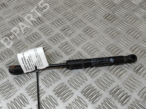 Hood lift support BMW 4 Coupe (F32, F82) M4 | BP26500485C139 